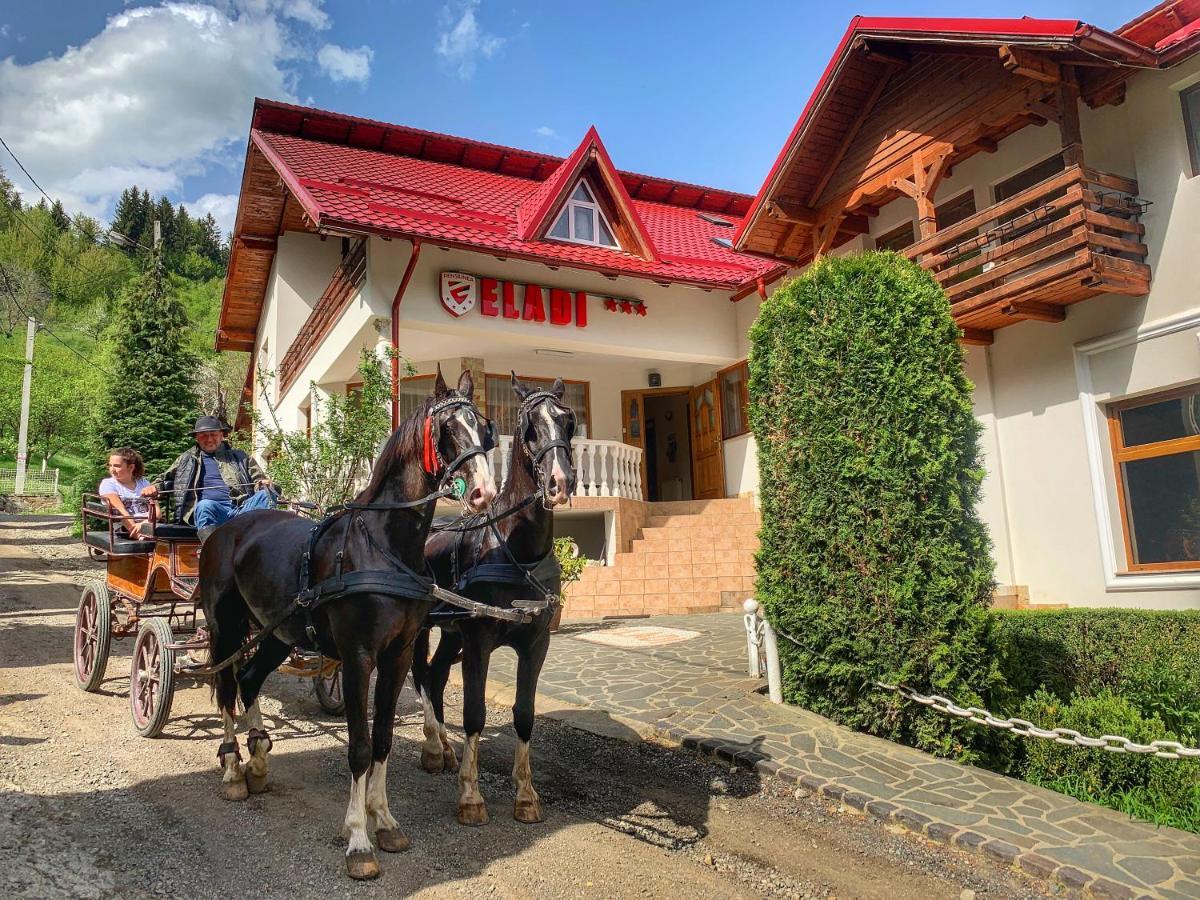 Pensiunea Eladi Borsa  Exterior photo