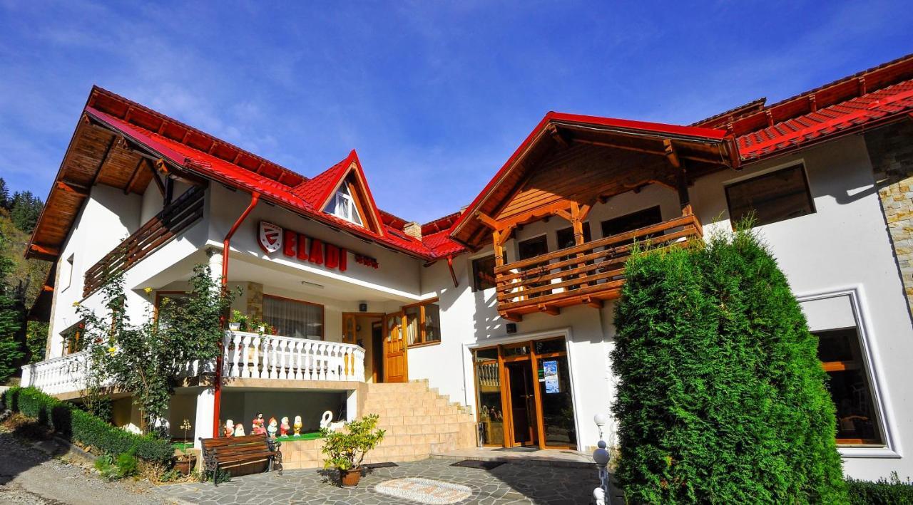 Pensiunea Eladi Borsa  Exterior photo